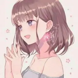 综艺分类